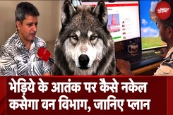 Wolf Attack UP News: भेड़िये के आतंक पर कैसे नकेल कसेगा Forest Department, जानिए प्लान Wolf Attack UP News: भेड़िये के आतंक पर कैसे नकेल कसेगा Forest Department, जानिए प्लान