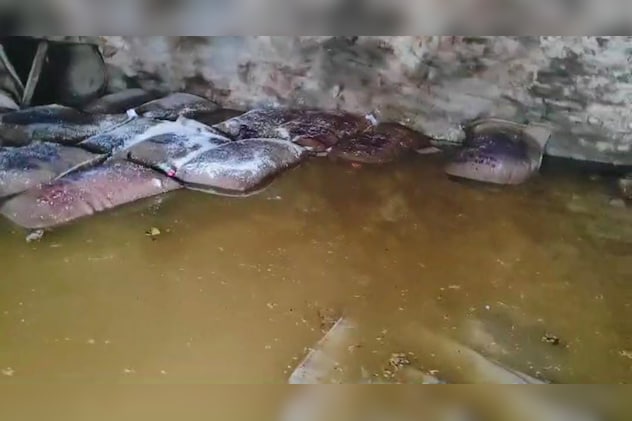 यहां पीडीएस और खाद के गोदाम में पानी भरने से डूब गए .