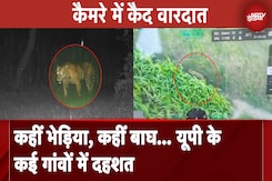 Uttar Pradesh: Bahraich से लेकर Lakhimpur Kheri तक 'आदमखोरों' का आतंक जारी Uttar Pradesh: Bahraich से लेकर Lakhimpur Kheri तक 'आदमखोरों' का आतंक जारी