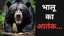 CG News: खूंखार भालू का आतंक, बच्ची और युवक को मार डाला, चार को किया जख्मी