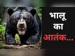 CG News: खूंखार भालू का आतंक, बच्ची और युवक को मार डाला, चार को किया जख्मी