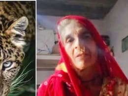 उदयपुर में थम नहीं रहा आदमखोर का आतंक, एक और महिला का किया शिकार, 6 की हो चुकी मौत