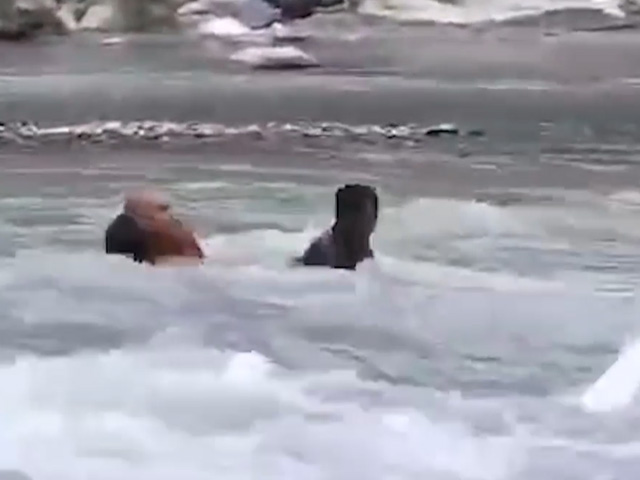 Man Drowns In River While Immersing Ganesha Idol, Saved By Cops