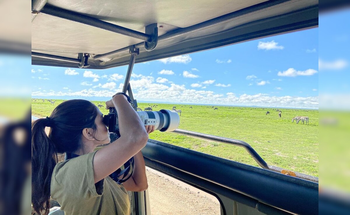 Latest and Breaking News on NDTV