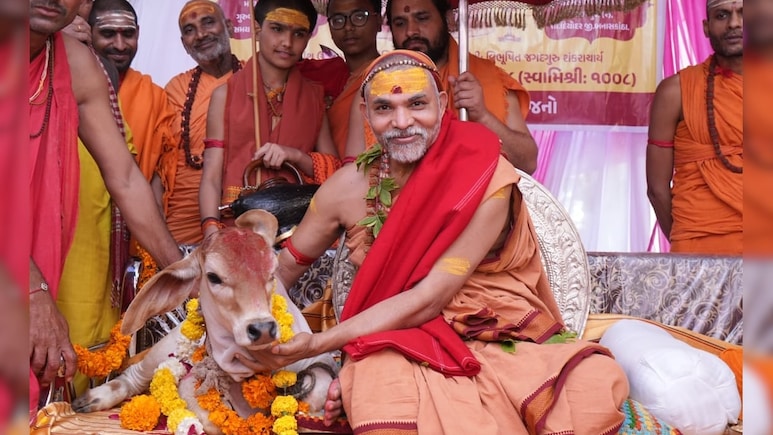 मालेगांव ब्लास्ट, सनातन आतंकवाद, गौ माता राजमाता... शंकराचार्य अविमुक्तेश्वरानंद ने NDTV से की खुलकर बात