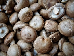 8 Health Benefits Of Shiitake Mushrooms 8 Health Benefits Of Shiitake Mushrooms