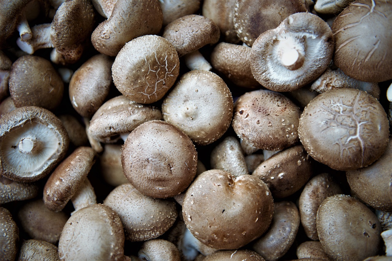Incorporating shiitake mushrooms into your diet provides a range of health benefits