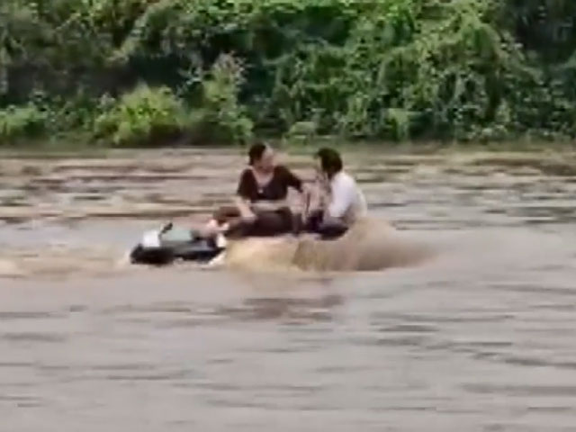 Couple Stuck On Car Roof Rescued From Floodwater In Gujarat