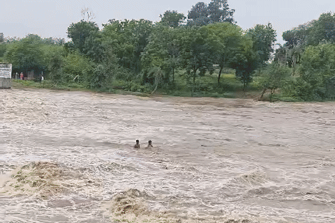 बारिश से कोटा बैराज ओवरफ्लो, चित्तौड़गढ़ में नदी में बहे 2 बच्चे, कोटा समेत 11 जिलों में अलर्ट जारी