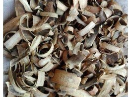 औषधि एक है पर डायबिटीज, दस्त और पेट की बीमारी को चुटकियों में कर सकती है ठीक, बस यूं करें इस्तेमाल