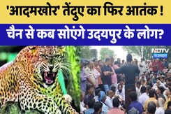Leopard Terror in Udaipur: आदमखोर' तेंदुए का फिर आतंक, चैन से कब सोएंगे उदयपुर के लोग? | Latest News Leopard Terror in Udaipur: आदमखोर' तेंदुए का फिर आतंक, चैन से कब सोएंगे उदयपुर के लोग? | Latest News
