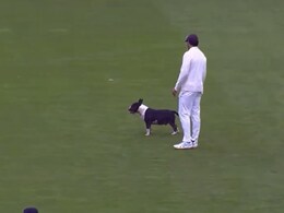 Watch: Dog Invades Pitch To Halt Durham vs Kent Match, Commentators In Splits Watch: Dog Invades Pitch To Halt Durham vs Kent Match, Commentators In Splits