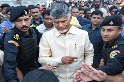 Andhra Chief Minister Alleges Animal Fat Used In Tirupati Laddu During Previous Regime Andhra Chief Minister Alleges Animal Fat Used In Tirupati Laddu During Previous Regime