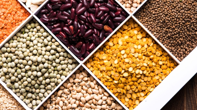 Rashi Chowdhary has advised to choose yellow moong dal for easier digestion