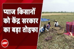 Onion Price: प्याज किसानों को केंद्र सरकार का बड़ा तोहफा, निर्यात शुल्क 40% से घटाकर 20% किया Onion Price: प्याज किसानों को केंद्र सरकार का बड़ा तोहफा, निर्यात शुल्क 40% से घटाकर 20% किया
