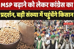 Soyabean Price in MP: MSP बढ़ाने को लेकर कांग्रेस का प्रदर्शन, बड़ी संख्या में पहुंचेंगे किसान Soyabean Price in MP: MSP बढ़ाने को लेकर कांग्रेस का प्रदर्शन, बड़ी संख्या में पहुंचेंगे किसान