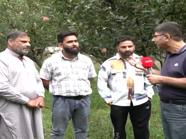 In Kashmir's Apple Orchards, People Talk About Political Harvest