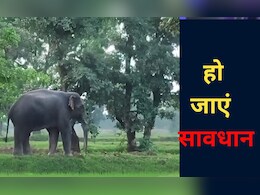 छत्तीसगढ़ के इस जिले में  हाई अलर्ट पर हैं दर्जनों गांव, विभाग इसलिए करा रहा है मुनादी, यहां देखें नाम  