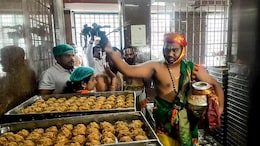 20 Crore Laddoos Made With Spurious Ghee During 2019-24: Tirupati Official