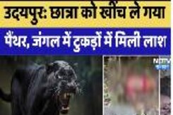 Udaipur Panther attack: Student  को खींच ले गया Panther, जंगल में टुकड़ों में मिली लाश Udaipur Panther attack: Student  को खींच ले गया Panther, जंगल में टुकड़ों में मिली लाश