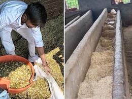 NDTV की खबर का असर, संवरने लगी डीग गौशाला, कलेक्टर ने मंगवाई रिपोर्ट, जयपुर से आया 200 मन चारा