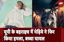 बहराइच में फिर दिखा आदमखोर भेड़िये का आतंक, छत पर सो रहे बच्चे को बनाया निशाना बहराइच में फिर दिखा आदमखोर भेड़िये का आतंक, छत पर सो रहे बच्चे को बनाया निशाना