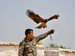 भारतीय सेना के बाज 'अर्जुन' ने बीकानेर युद्धाभ्यास में दिखाया कौशल, आतंकियों की बताई सटीक पोजीशन