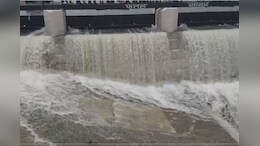 Fateh Sagar Lake: गेट खुलने के बाद खुशियों की झील बनी 'सिटी ऑफ लेक्स', उदयपुर पर्यटन को लगे उम्मीद के पंख