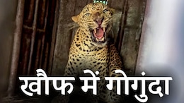 प्रशासन का ऐलान- अकेले घर से न निकलें लोग, आदमखोर तेंदुए के डर से लाठी-कुल्हाड़ी लेकर घूम रहे लोग&nbsp;&nbsp;