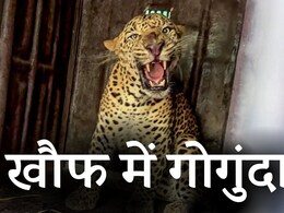 प्रशासन का ऐलान- अकेले घर से न निकलें लोग, आदमखोर तेंदुए के डर से लाठी-कुल्हाड़ी लेकर घूम रहे लोग  