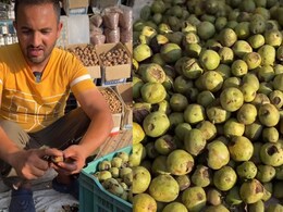 Viral Video: Vlogger Tries Home-Grown Walnuts In Kashmir, Internet Reacts