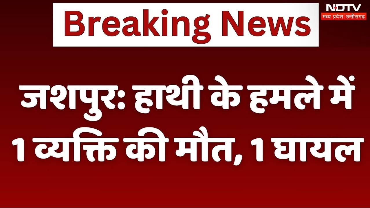 Elephant Attack in Jashpur: हाथी के हमले में 1 व्यक्ति की मौत, 1 घायल