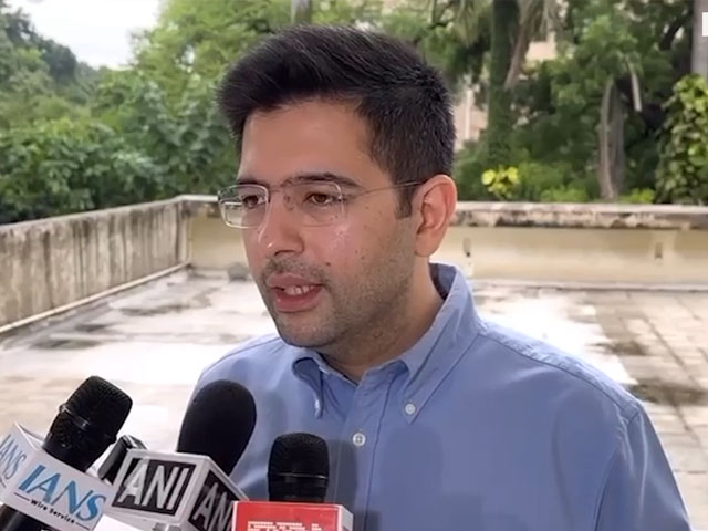 Raghav Chadha On Delhi Chief Minister Arvind Kejriwal's Bail