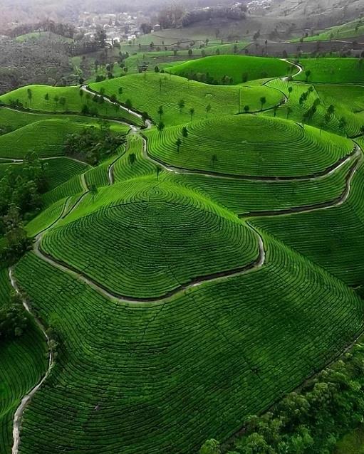 9big6qi8_5-scenic-hill-