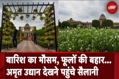Rashtrapati Bhavan: Amrit Udyan की खूबसूरती निहारने पहुंच रहे हैं लोग Rashtrapati Bhavan: Amrit Udyan की खूबसूरती निहारने पहुंच रहे हैं लोग