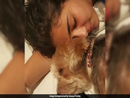 Ananya Panday's Pet Pooch Fudge Dies: "I'll Miss You Every Single Day" Ananya Panday's Pet Pooch Fudge Dies: "I'll Miss You Every Single Day"