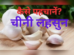 रुकिए जरा! क्या आप भी खरीद रहे हैं चाइनीज लहसुन, इन 5 चीजों से करें देसी गार्लिक की पहचान रुकिए जरा! क्या आप भी खरीद रहे हैं चाइनीज लहसुन, इन 5 चीजों से करें देसी गार्लिक की पहचान