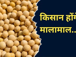 MP में किसानों को बड़ा तोहफा, 800 रुपये प्रति क्विंटल बढ़ेगी इस फसल की MSP ! MP में किसानों को बड़ा तोहफा, 800 रुपये प्रति क्विंटल बढ़ेगी इस फसल की MSP !