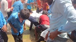 Video: Nitish Kumar Puts Fish In Tank, Crowd Loots Them When He Leaves