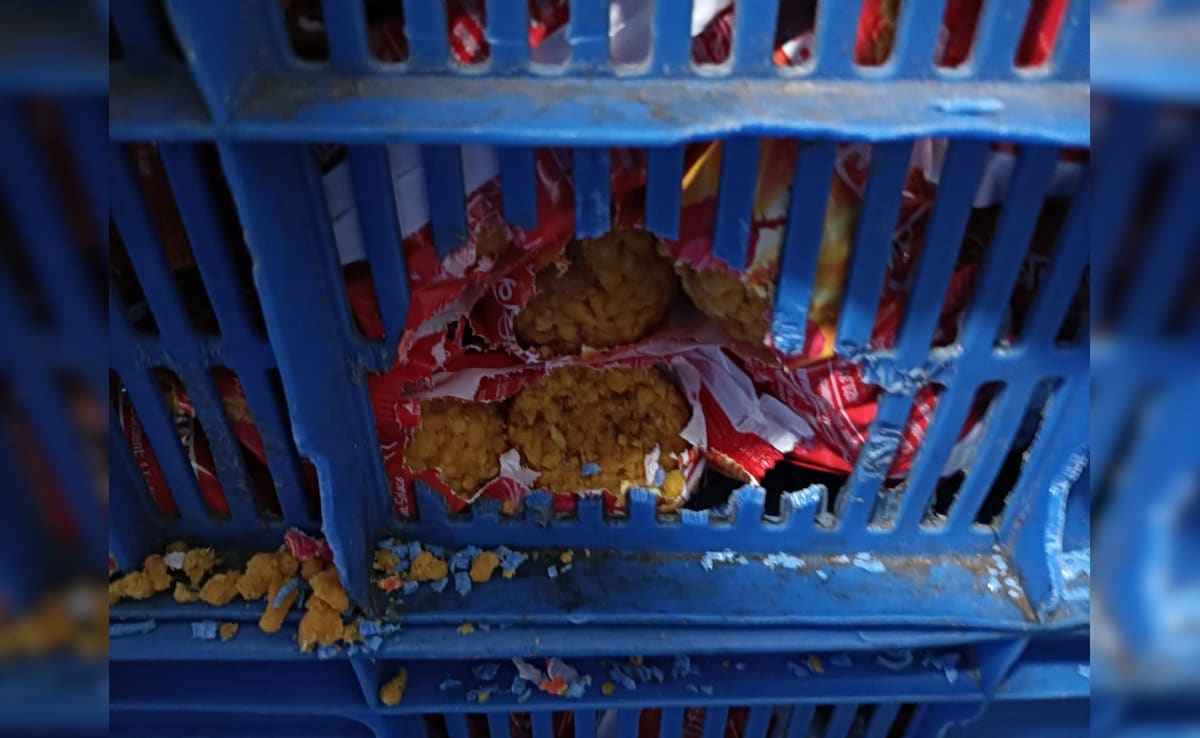 Latest and Breaking News on NDTV Latest and Breaking News on NDTV