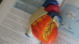 Millions At Risk Of 'Silent Killer', A Condition That Can Cause Stroke Or Sudden Death