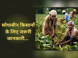 सोयाबीन बेचने के लिए कहां करना होगा रजिस्ट्रेशन? किसानों को यहां मिलेगी पूरी जानकारी सोयाबीन बेचने के लिए कहां करना होगा रजिस्ट्रेशन? किसानों को यहां मिलेगी पूरी जानकारी