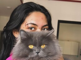खाना बनाते हुए एक्ट्रेस के साथ हादसा, खराब हो सकता था चेहरा लेकिन... खाना बनाते हुए एक्ट्रेस के साथ हादसा, खराब हो सकता था चेहरा लेकिन...