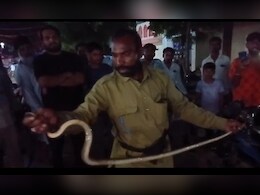 Snake News: जब यहां बाइक के इंजन बॉक्स में घुस गया पांच फीट लंबा सांप, हैरान रह गए ये सब Snake News: जब यहां बाइक के इंजन बॉक्स में घुस गया पांच फीट लंबा सांप, हैरान रह गए ये सब