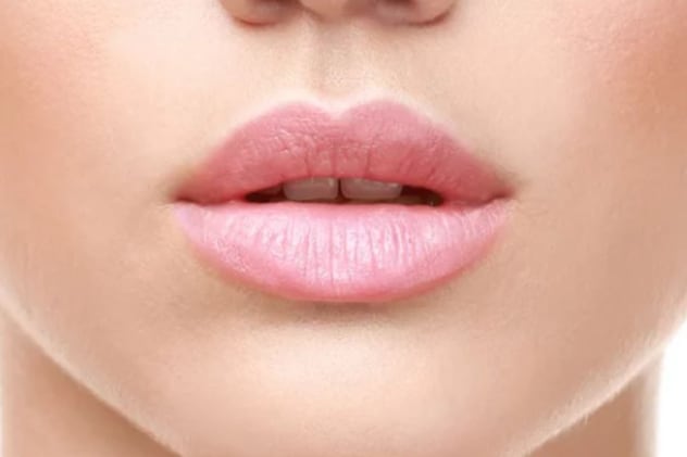 मध्यम आकार के होंठ  मध्यम आकार के होंठ