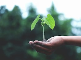 World Environmental Health Day 2024: क्यों मनाया जाता है विश्व पर्यावरण स्वास्थ्य दिवस, जानिए क्या है इस साल की थीम