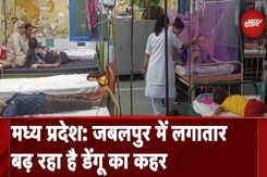 Madhya Pradesh: Jbalpur में लगातार बढ़ रहा है डेंगू का कहर Madhya Pradesh: Jbalpur में लगातार बढ़ रहा है डेंगू का कहर