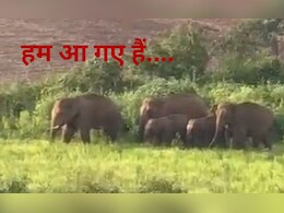 CG: हाई अलर्ट पर है छत्तीसगढ़ का ये टूरिस्ट स्पॉट, मंडरा रहा बड़ा खतरा, जाने से पहले कर लें चेक CG: हाई अलर्ट पर है छत्तीसगढ़ का ये टूरिस्ट स्पॉट, मंडरा रहा बड़ा खतरा, जाने से पहले कर लें चेक