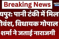 जयपुर: पानी टंकी में मिला गोवंश विधायक गोपाल शर्मा ने जताई नाराजगी
