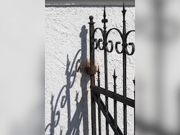 11-Year-Old Boy Killed In Bengaluru Park After Iron Gate Falls On Him 11-Year-Old Boy Killed In Bengaluru Park After Iron Gate Falls On Him